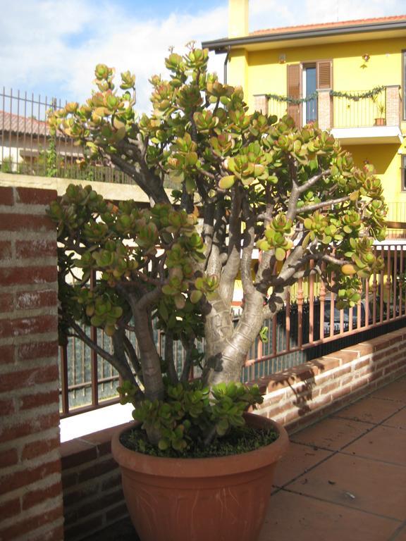Villa Nina Trecastagni Exterior photo